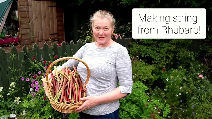 Making String from Rhubarb!