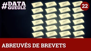 Abreuvés de brevets #DATAGUEULE 22