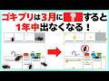 【必ず3月中に!!】春が来る前に〇〇やらないと、今年もゴキブリに悩まされます…