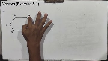 Vectors  E1 : Exercise 5.1(All Questions)