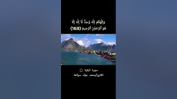 سورة البقرة - آية163: القارئ/محمد جواد سوالمة