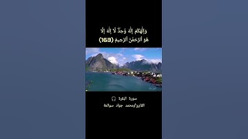 سورة البقرة - آية163: القارئ/محمد جواد سوالمة