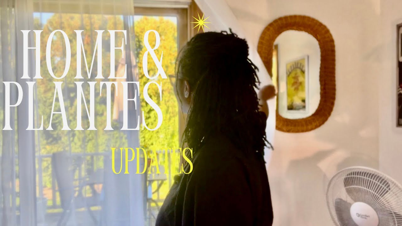 HOME UPDATES & rempotage de plantes en plein air  🌱