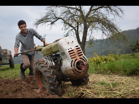 Video: Celé vajcia ako hnojivo – informácie o hnojive na surové vajcia