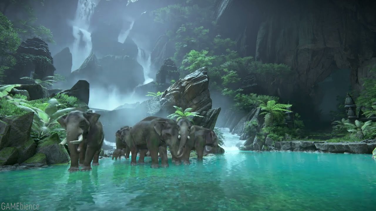 3 Hour Uncharted The Lost Legacy Elephants Bathing in Clear Water Ambience YouTube