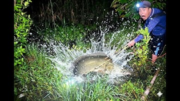 Siệt cá đêm Khi nước rút toàn hàng khủng những gì còn sót lại sau mùa lũ