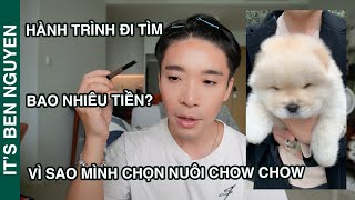 KỂ CHUYỆN ĐÓN NUÔI BÉ CHOW CHOW NHÀ MÌNH | It's Ben Nguyen by It's Ben Nguyen 975 views 4 months ago 13 minutes, 23 seconds