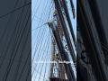 Tall ship crew climbs the rigging - cool! #pubclub #tallship #shorts