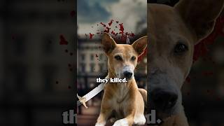 When Mumbai Protested For Stray Dogs | Keerthi History #india #history #shorts