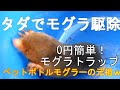 0円簡単！モグラ トラップ♡　【タダで 捕獲、駆除】