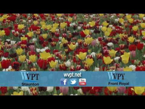 WVPT Station ID 25859