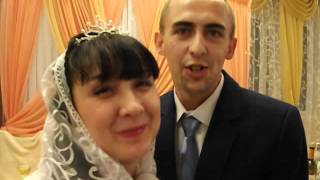 Отзывы после свадьбы 9 сентября  2015 тамада Александр Марков(319)