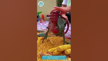 Efficient Corn Thresher for Direct Sales | High-Speed Shelling Machine 🌽