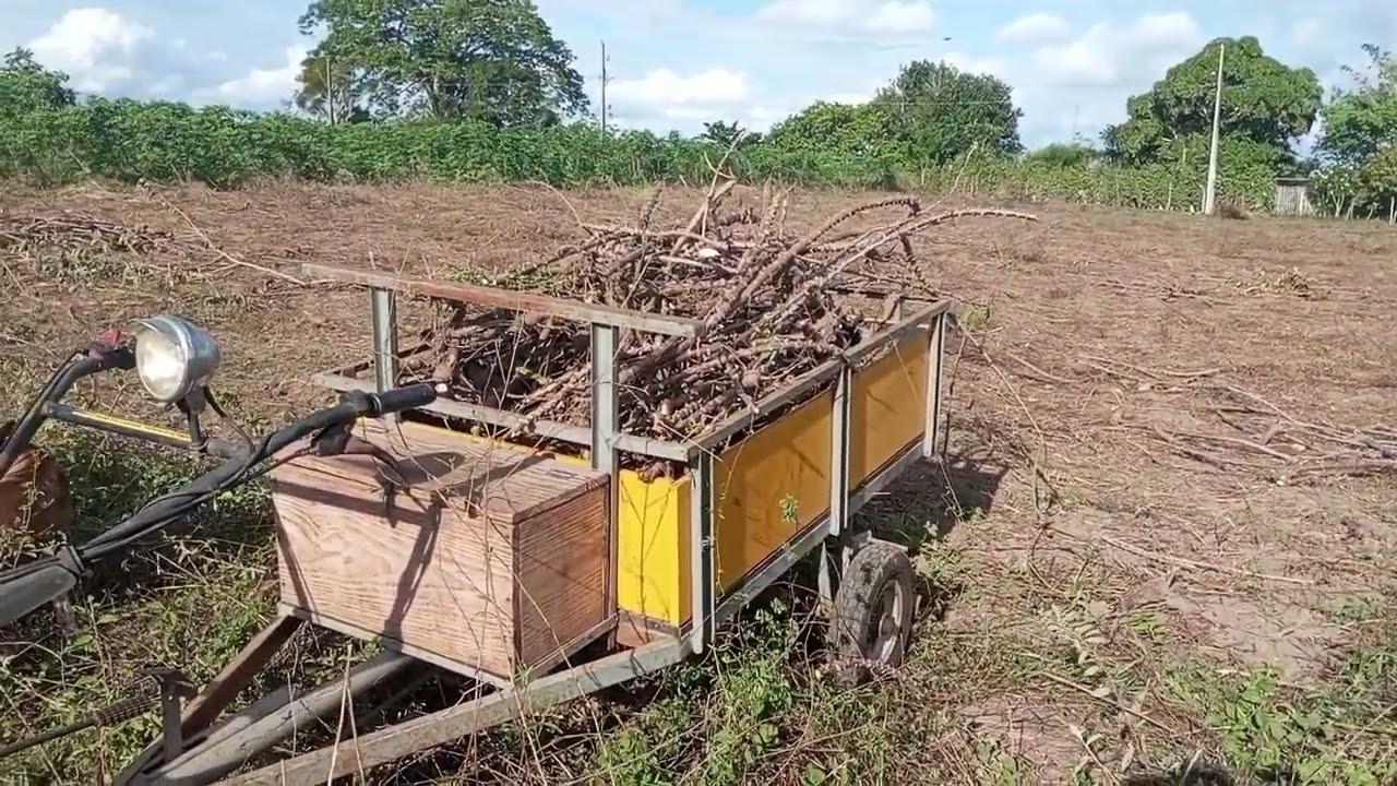 Roçando para começar as plantação 