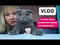 VLOG предновогоднее настроение /перестановка/ супер салат для мужчин/ детский водный коврик