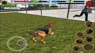 🐕🦴Stray Dog German Shepherd Simulator, By Gluten Free Games screenshot 1