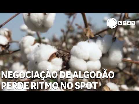 4562687 COTTON NETWORKS