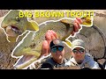 Fly fishing black river in march big browns