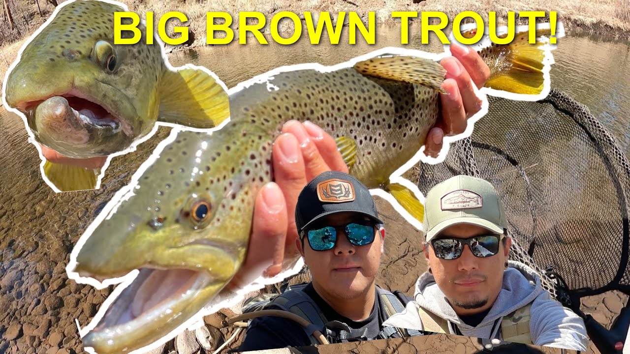 Fly Fishing Black River In March BIG BROWNS! YouTube