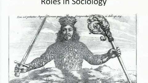 Understanding Roles in Software Organizations