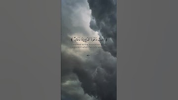 تلاوة من سورة البقرة  القارئ وديع  اليمني