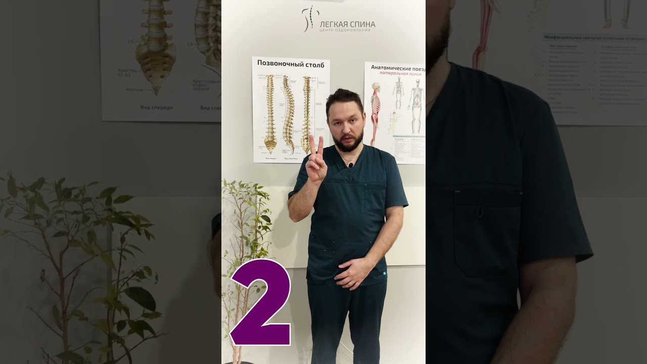 Рекомендации от Легкой спины. Запись на прием по телефону: +7 (499) 755-53-55.