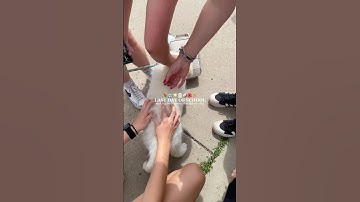 ep. 87!! | description! 🌺🏄‍♀️ #preppy #aesthetic #cleangirl #algorithm #fyp #grwm #vlog