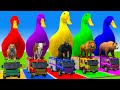 Long Slide Game With Cow Elephant Gorilla Hippopotamus Tiger 3d Animal Game Funny 3d Animals