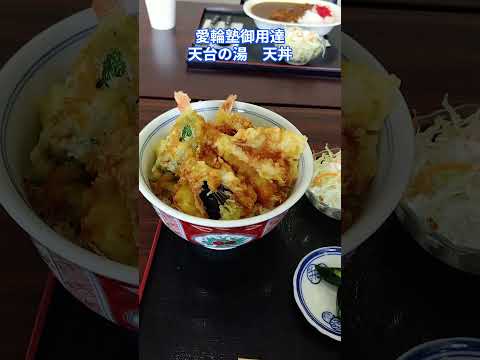 愛輪塾御用達 天台の湯 天丼  #みちのく記念館 ♯二戸市の食堂