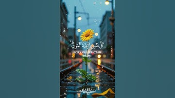 يَاعِبَادِيَ الَّذِينَ آمَنُوا إِنَّ أَرْضِي وَاسِعَةٌ فَإِيَّايَ فَاعْبُدُونِ | سورة العنكبوت