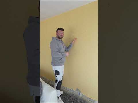 Video: So entfernen Sie Vliestapeten schnell von der Wand: Anleitung und notwendiges Werkzeug