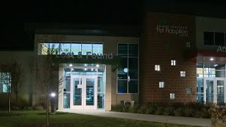 Oakland County Animal Shelter worker seriously injured by dog