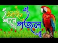 আরশের মেহমান করেছেন আল্লাহ | Beautiful Ringtone| 2023 Best Ringtone 🌷🌷