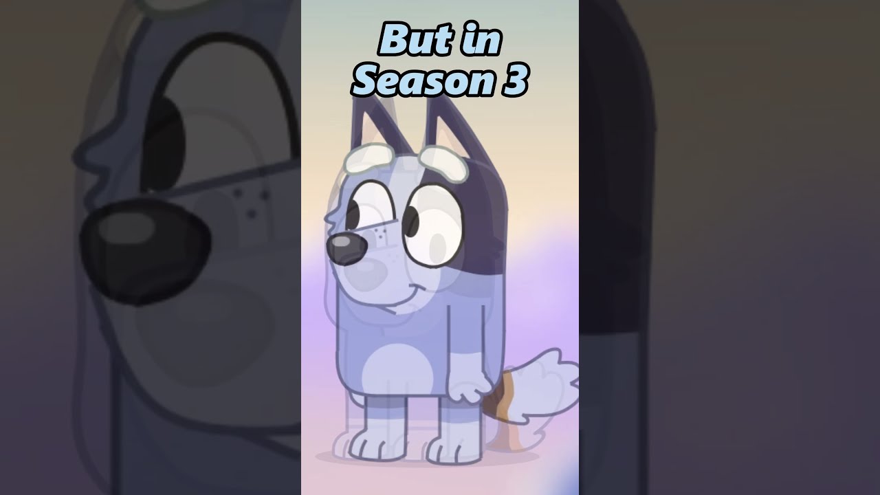 What S Wrong With Socks Shorts Bluey