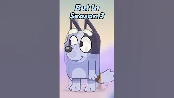 What S Wrong With Socks Shorts Bluey 