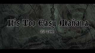 It&#39;s Too Easy Mañana - ZZ Top Acoustic Cover