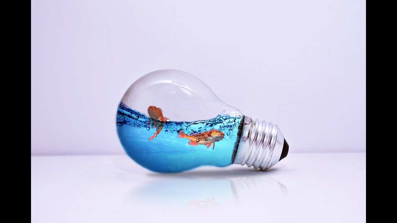 Fish In Bulb Water Splash Fish in Bulb | Photo Manipulation | Photoshop Tutorial ...