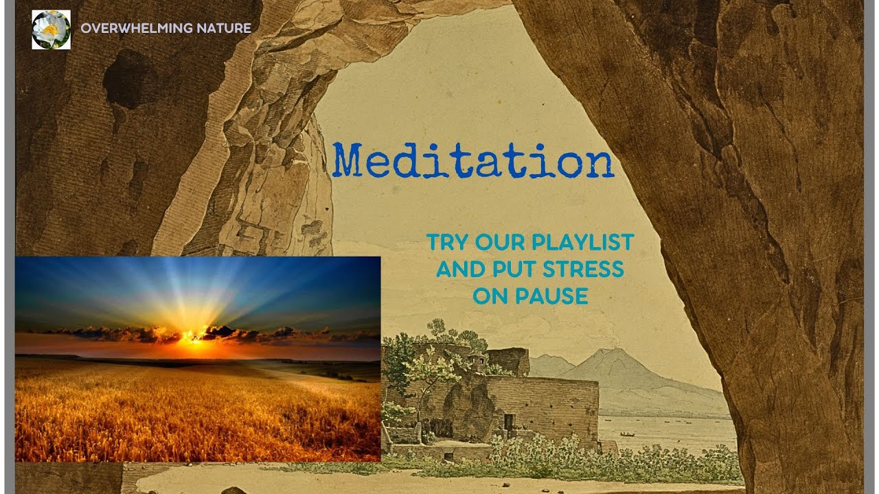 Golden Sun Rise Meditation | Wheat Field | 