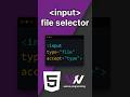 HTML File Upload #html #file #form #coding #programming