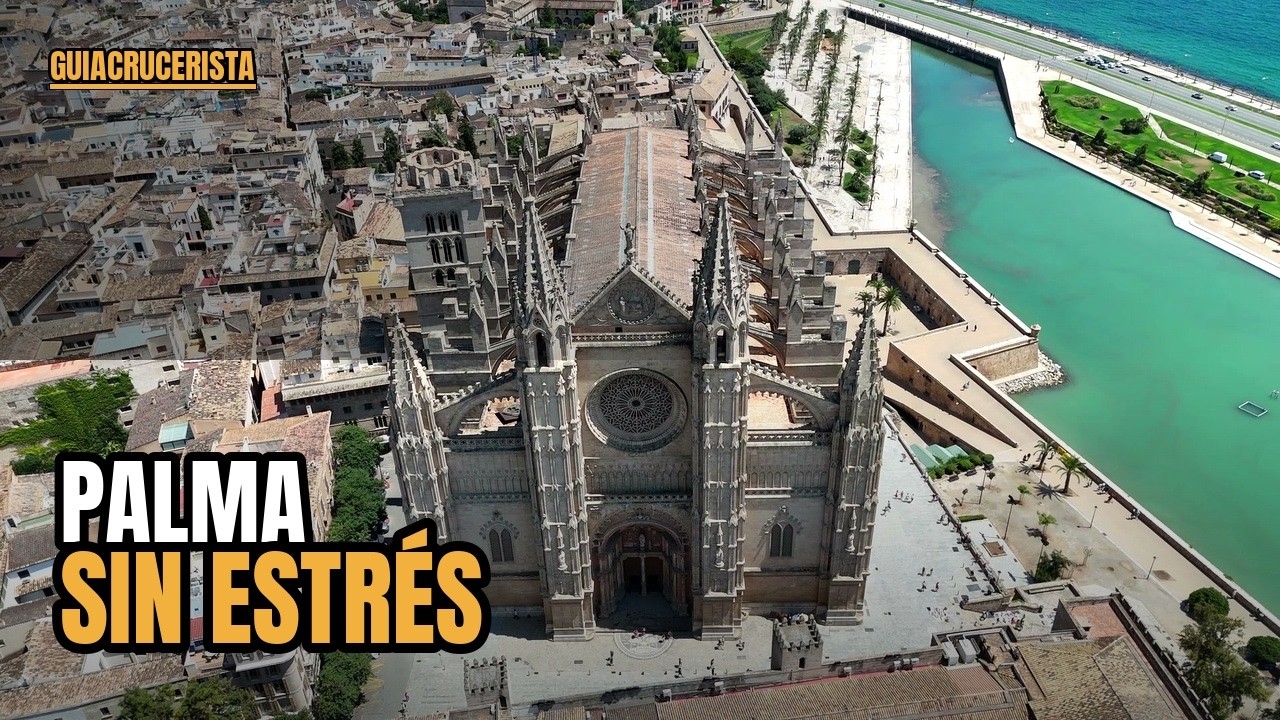PALMA SIN ESTRÉS