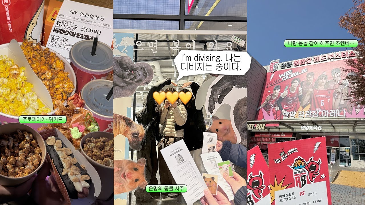 vlog | 창원엘지 vs 안양정관장 with 붕어빵🐟+ 나 취준하라고 ..? 나 도파민 중독 상탠데 …