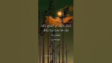 #تلاوة_خاشعة #راحة_نفسية #قرآن #دويتو #اكسبلور #quran #تيك_توك #duet #حالات_واتس #لايك