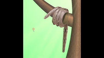 Tree snake animation in OpenGL