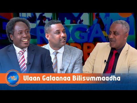 Roga Dubbii Ulaan Galaanaa Bilisummaadha Caalchisaa Amantee PhD Fi Abarraa Fayyisaa