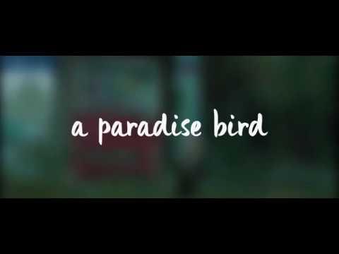 Russ Nobody Knows Lyrics