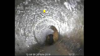 Seattle Sewer Pipe Inspection 9551 Ashworth Ave N