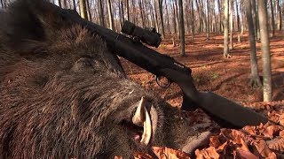 Inilah Beberpa Pemburu Babi Hutan Terbaik Di Dunia Aimpoint