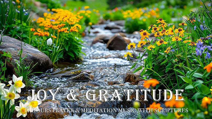 JOY & GRATITUDE | Bible Verse About Hope and Healing Can Change Your Life