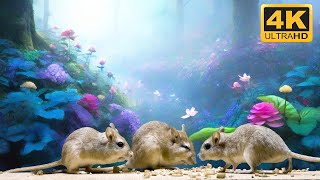 8 hour Cat TV mouse in jerry hole fun , Mouse squabble playing hide and seek for food 4k UHD by Awesome Nature  236 views 4 months ago 10 hours