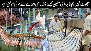 Inside Egg And Chicken Production Factory || How Poultry Farm Make Eggs and Meat || Zee360